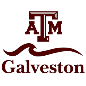 Texas A&M, Galveston - Best Colleges for Sailing